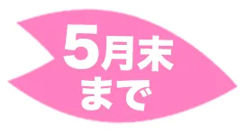 5月末まで
